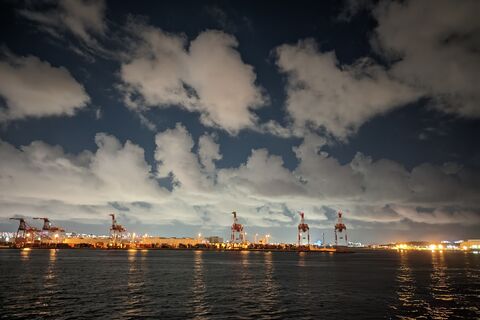 Container gantry cranes at a port terminal at dusk